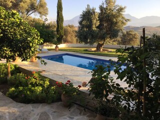 Garden and pool