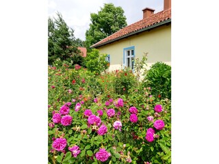 Maison de vacances Biskupiec Enregistrement extérieur 8