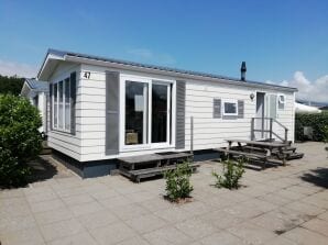 Ferienhaus Chalet De Muy Texel De Koog - De Koog - image1