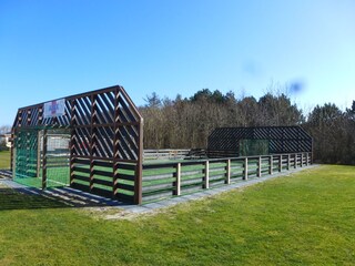 Vakantiehuis De Koog Omgeving 12