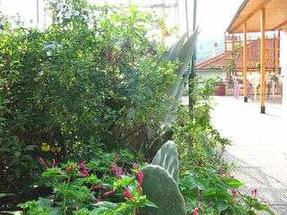 Casa per le vacanze Diano San Pietro Registrazione all'aperto 3