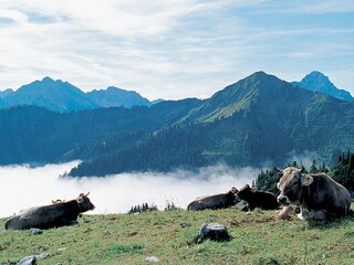 Vakantieappartement Hirschegg im Kleinwalsertal  16