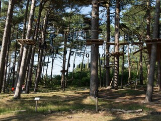 Hochseilgarten im Wernerwald