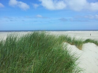 Appartamento per vacanze Ouddorp Ambiente 16