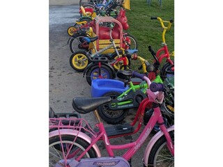 Der Fuhrpark mit verschiedensten Fahrzeugen.