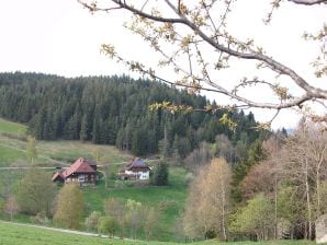 Ferienwohnung Paradiesblick - Schonach - image1