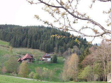 Ferienwohnung Paradiesblick