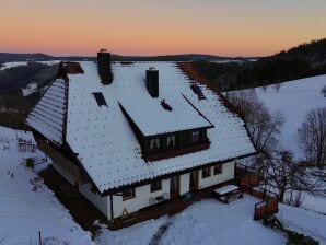 Ferienwohnung Paradiesblick - Schonach - image1