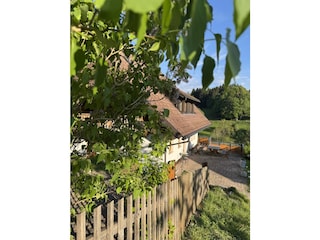 Blick aus dem Nutzgarten