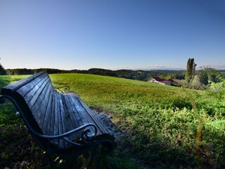 Appartamento per vacanze St. Stefan im Rosental Ambiente 22