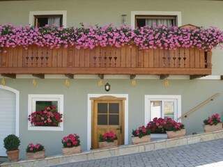 Appartamento per vacanze St. Stefan im Rosental Caratteristiche 11