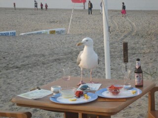 Casa per le vacanze De Cocksdorp  36