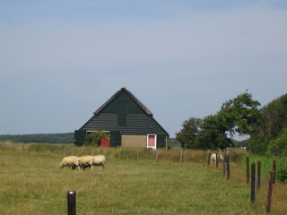 Casa per le vacanze De Cocksdorp  38