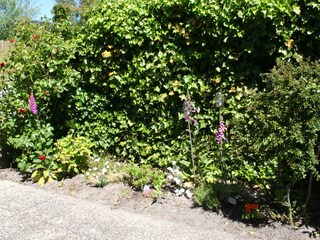 Vakantiehuis De Cocksdorp Omgeving 8