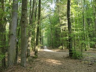 Wanderweg Gaishof