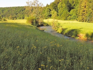 Umgebung Breitenbrunn