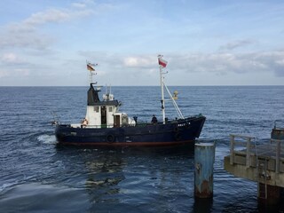 Fischerboot an der Seebrücke