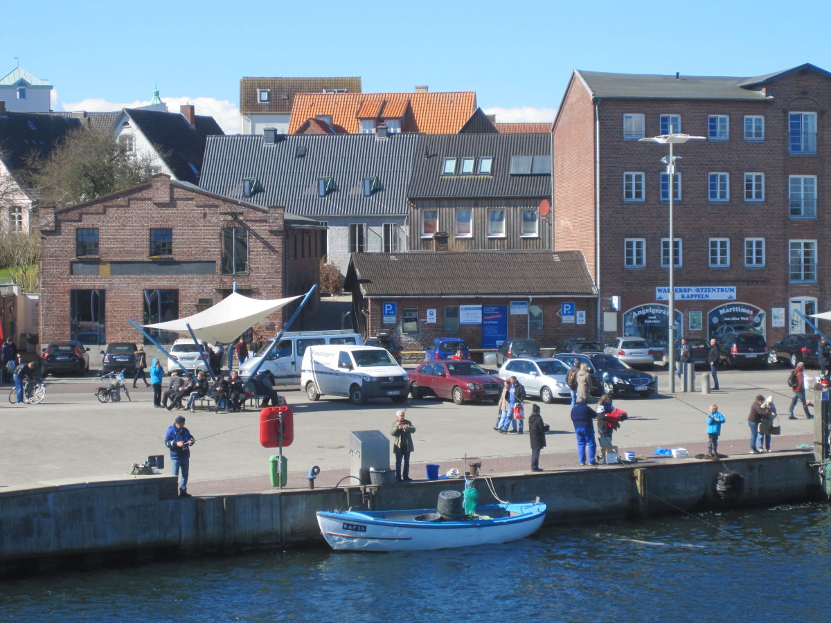 Single frauen aus kappeln