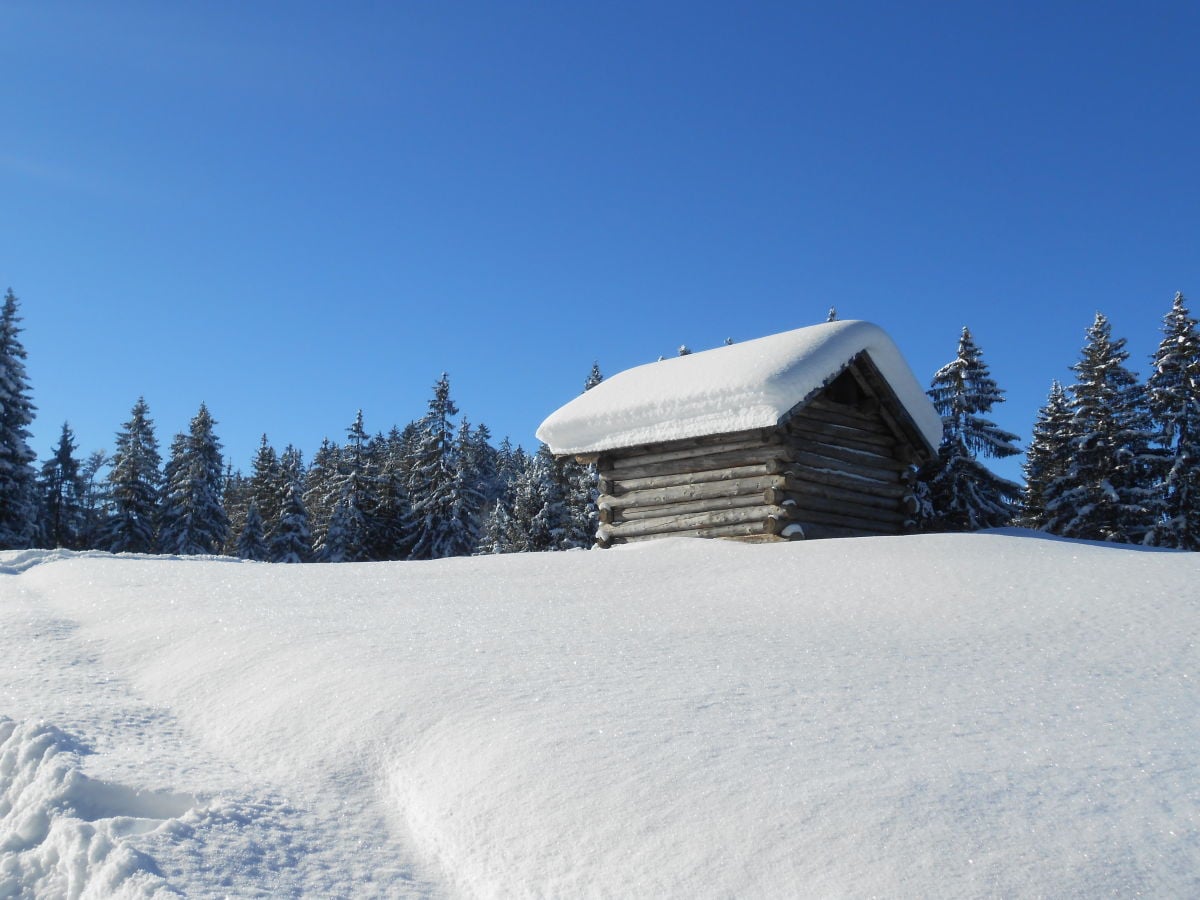 Beim Schlittenfahren auf der Gaisalpe