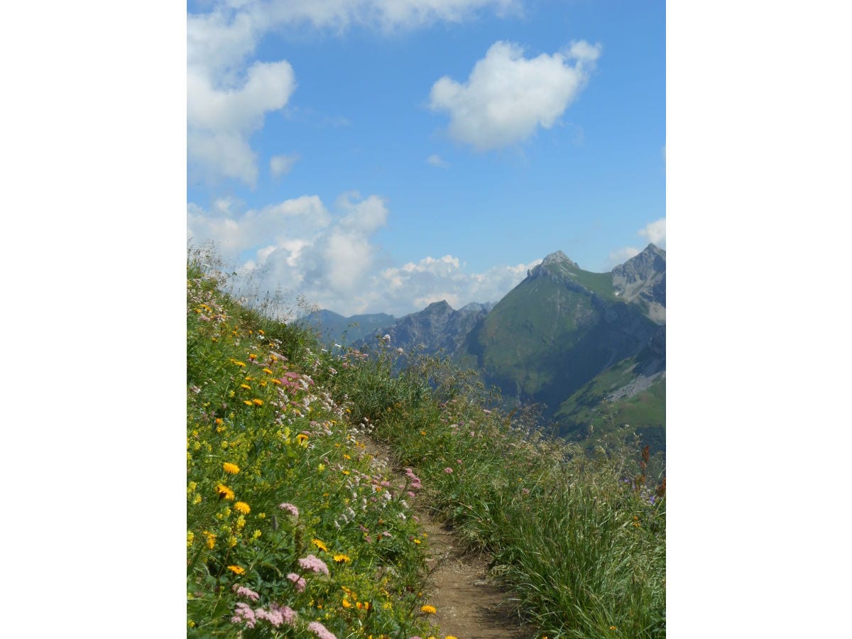 Bergtour am Nebelhorn