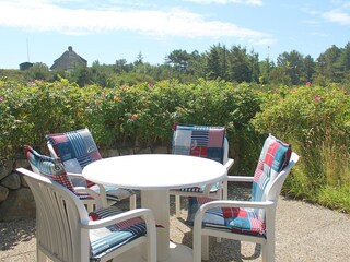 Appartamento per vacanze Hörnum Caratteristiche 8