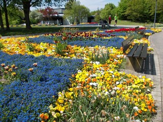 Blütenmeer im Kurpark