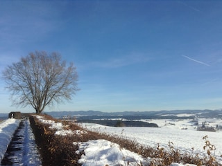 Ferienwohnung Argenbühl Umgebung 33