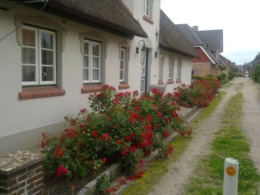 Ferienwohnung Haus Inga