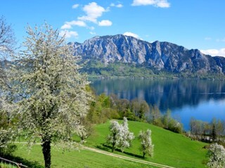 Blick vom Balkon