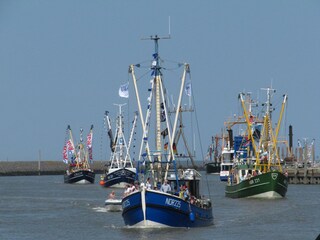 Norddeicher Kutterkorso (im August)
