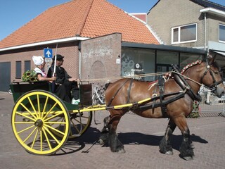 Vakantiehuis Zoutelande Omgeving 14