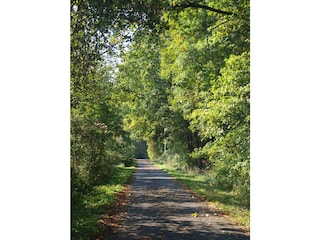 Idyllischer Wanderweg