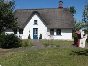 Ferienhaus Deichgraf - Vollerwiek - image1