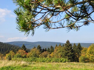 Apartamento de vacaciones Oberhof Entorno 14
