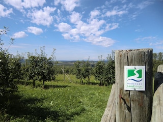 Wanderwege in der Region
