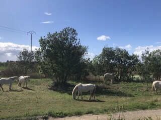 Casa de vacaciones Portiragnes Entorno 32