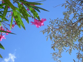 Casa per le vacanze Portiragnes Registrazione all'aperto 5