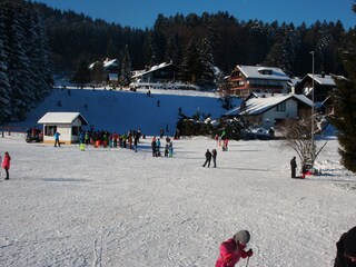 Rodelberg in Herrischried