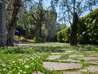 Appartamento Malcesine Registrazione all'aperto 3