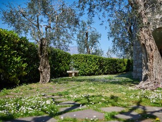 Apartamento Malcesine Grabación al aire libre 4