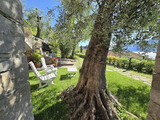 Appartement Malcesine Buitenaudio-opname 8