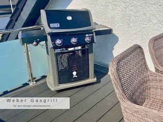 Weber Gasgrill