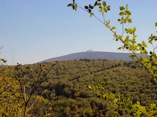 Blick vom Burgberg auf den Brocken