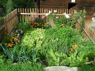 Capanna alpina Heiligenblut Ambiente 10