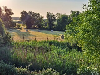 Blick in den Nationalpark