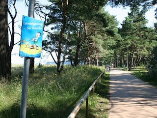 Vakantiehuis Baabe Omgeving 20