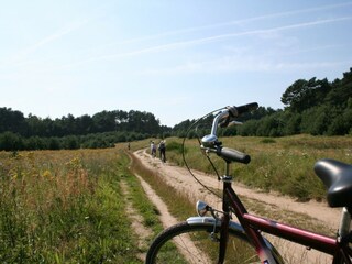 Vakantiehuis Baabe Omgeving 21