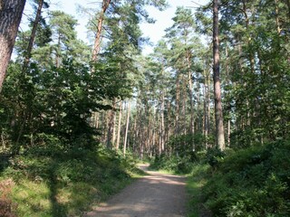 Vakantiehuis Baabe Omgeving 23