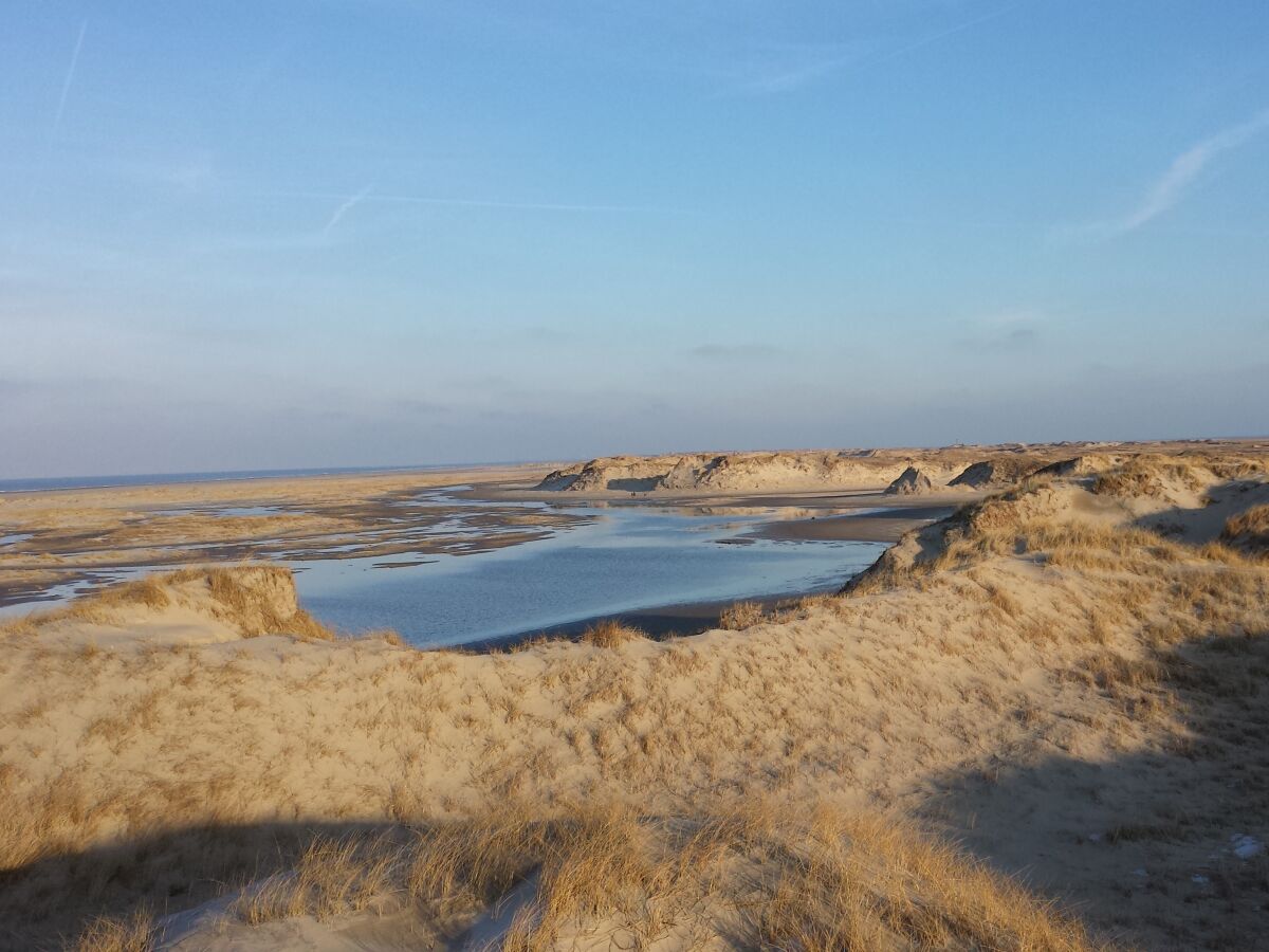 Dünenlandschaft am Ostende