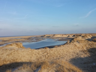 Dünenlandschaft am Ostende